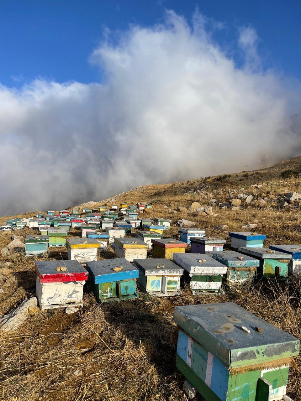 076c39fd Bc3e 4dea Ae3c 4a3863514222