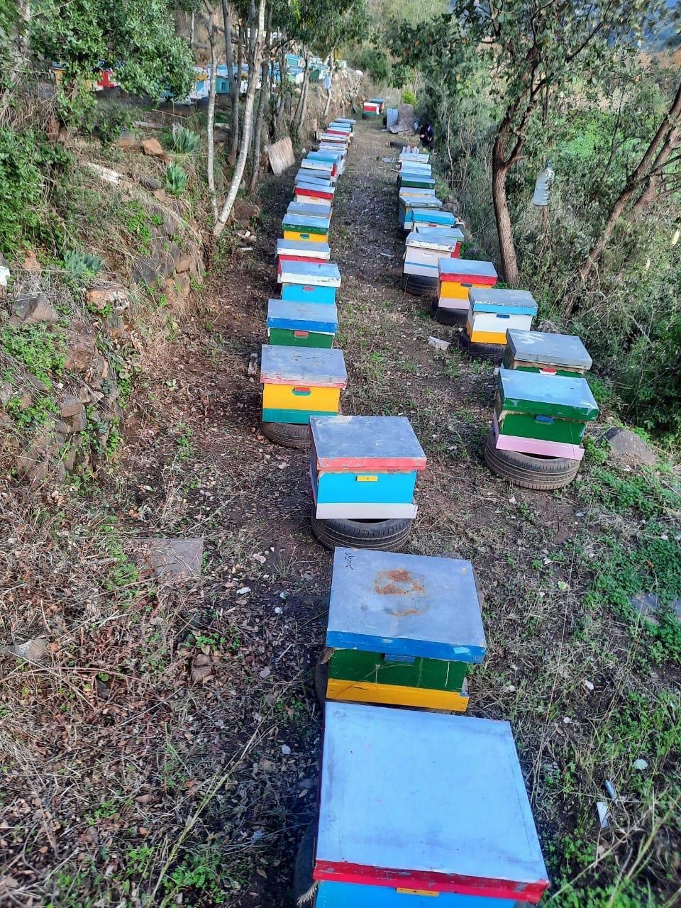 7b8464f8 D55d 443c A7e2 03b677c889fc