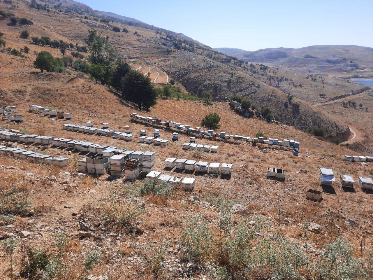 B8d846c1 C623 4b6c B94d F05ac25f1221